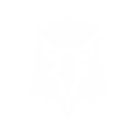 Birdeye